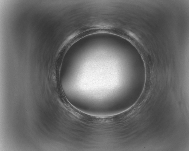 X0000067851307200604171214
