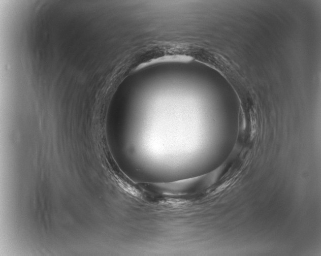 X0000067851345200604171214