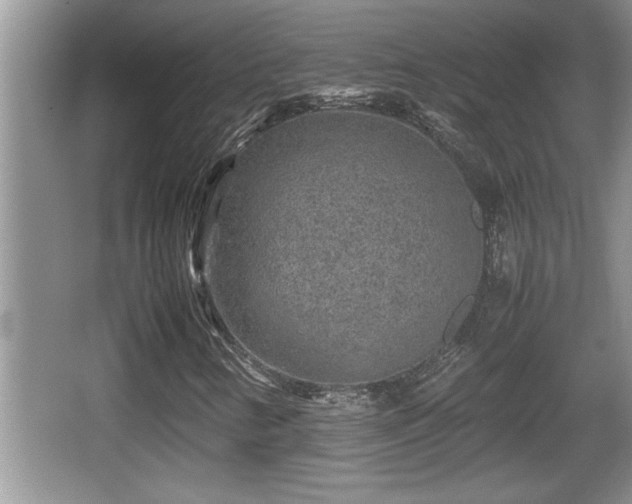 X0000067851346200604171214
