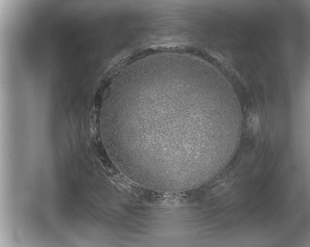 X0000067851350200604171214