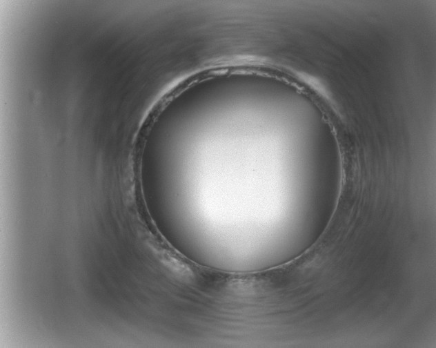 X0000067851364200604171213