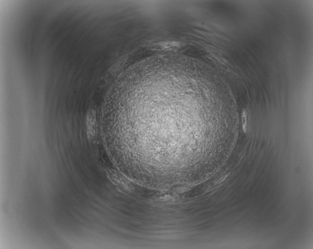X0000067851395200604171212