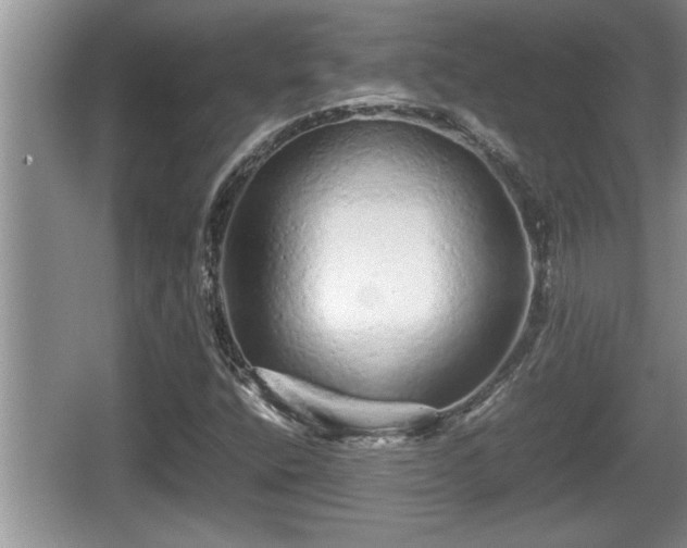 X0000067851400200604171212