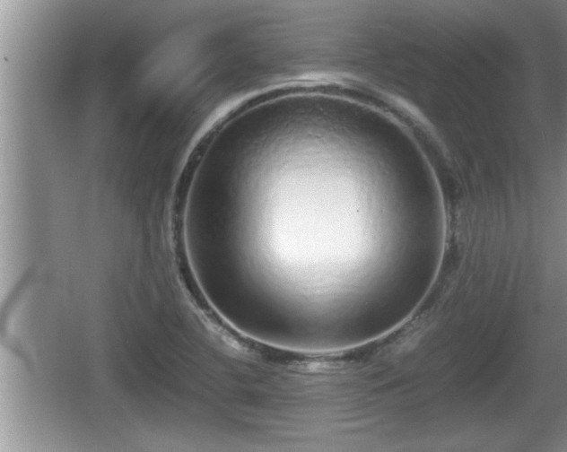 X0000067851412200604171212