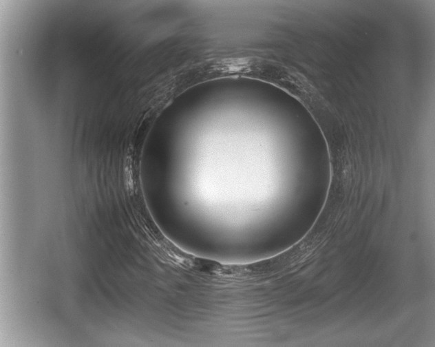X0000067851442200604171212