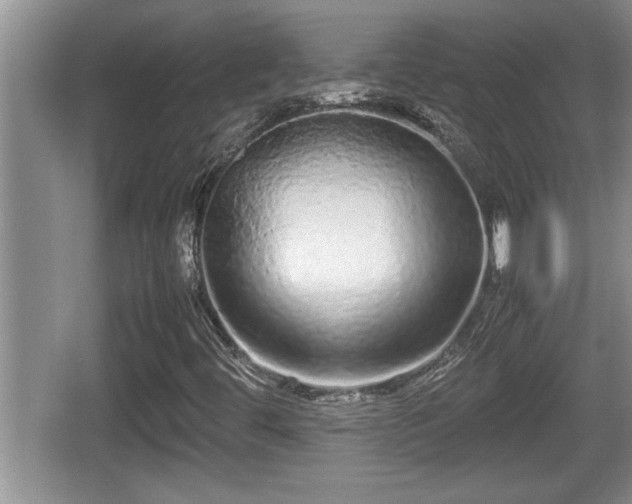 X0000067851444200604171212