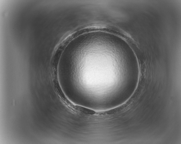 X0000067851448200604171212