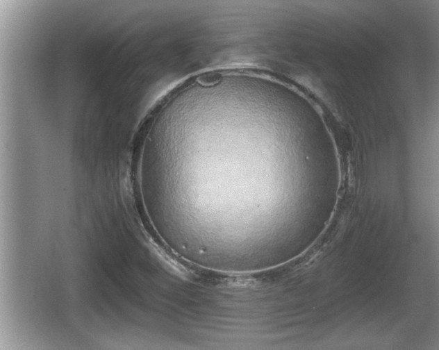 X0000067851452200604171212