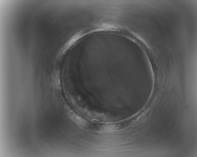 X0000067851455200604171212