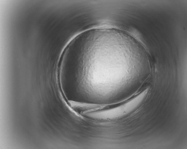 X0000067851484200604171211