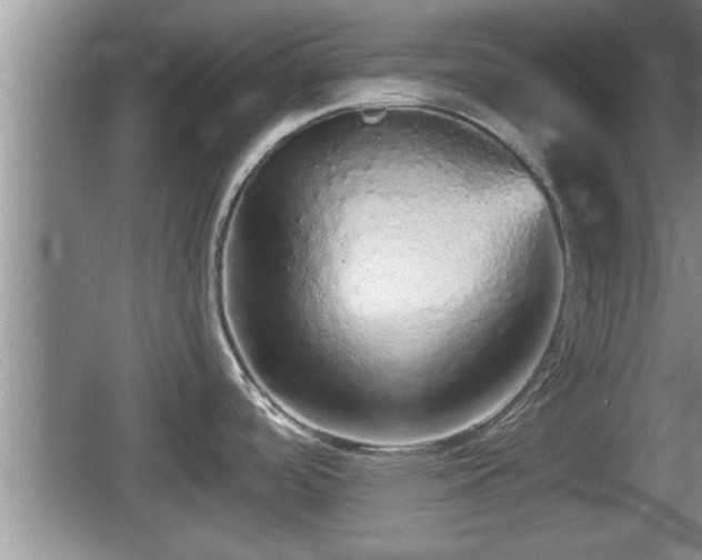 X0000067851488200604171211