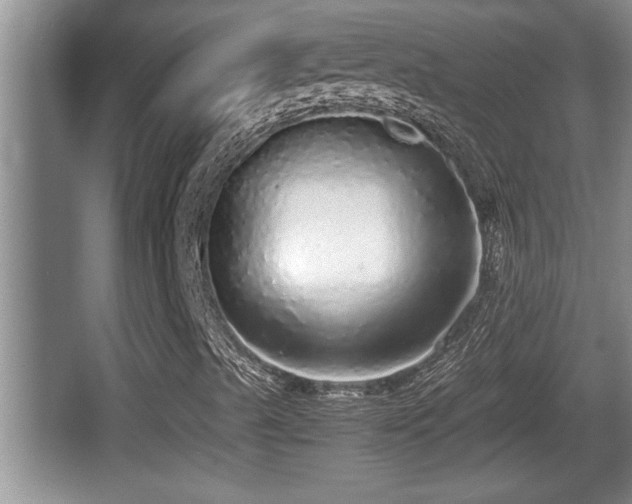 X0000067851489200604171210