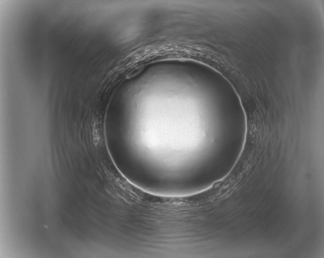 X0000067851490200604171210