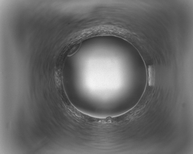 X0000067851491200604171210
