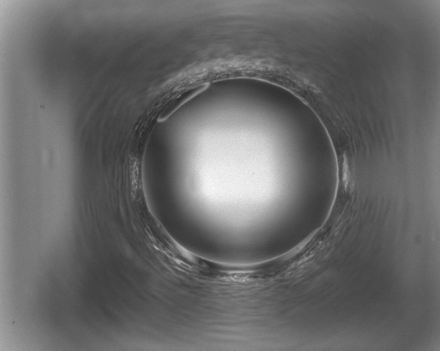 X0000067851492200604171210