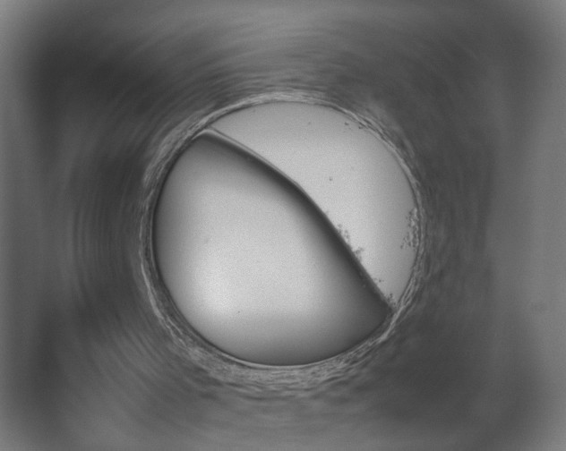 X0000067850001200604201320