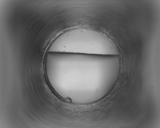 X0000067850002200604201320