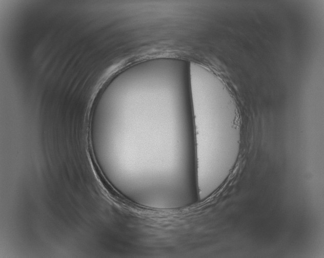 X0000067850003200604201320