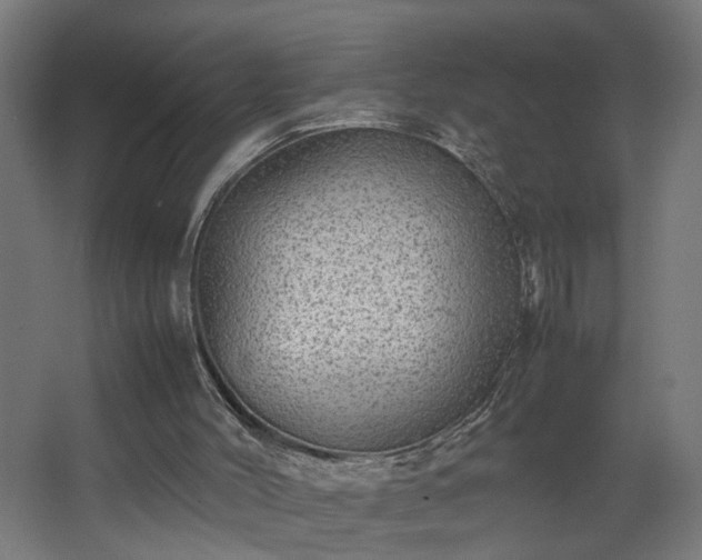 X0000067850004200604201320