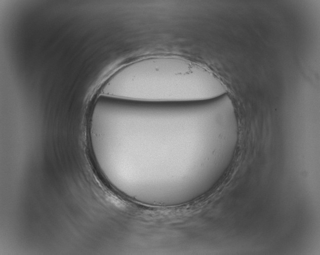 X0000067850005200604201320