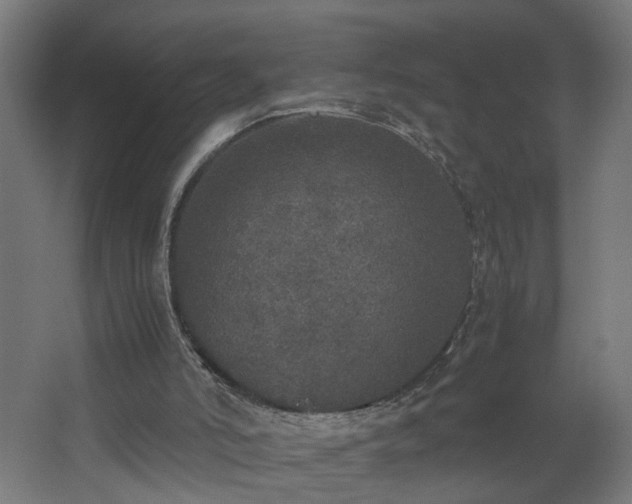 X0000067850006200604201320