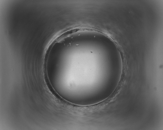 X0000067850007200604201319