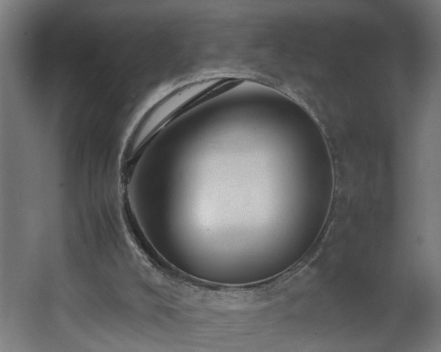 X0000067850008200604201319