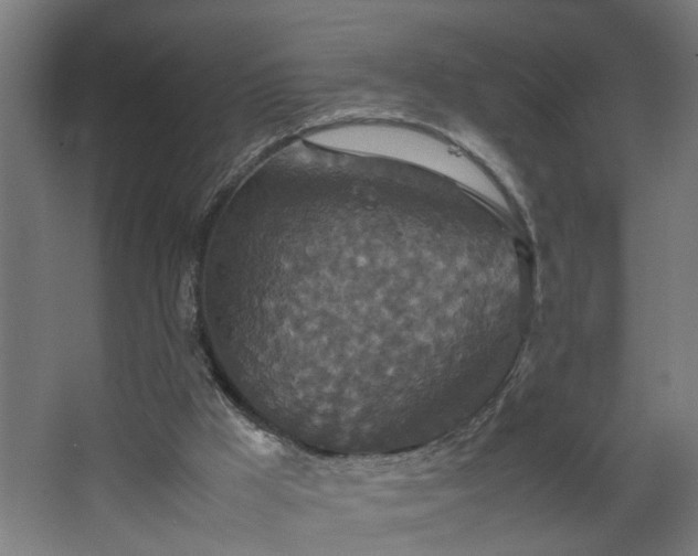 X0000067850009200604201319