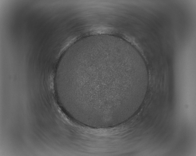 X0000067850010200604201319