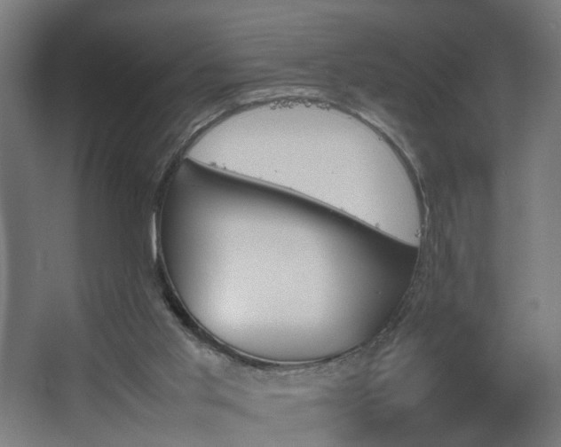 X0000067850013200604201319