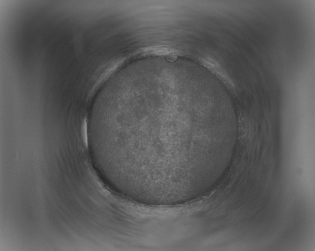 X0000067850014200604201319