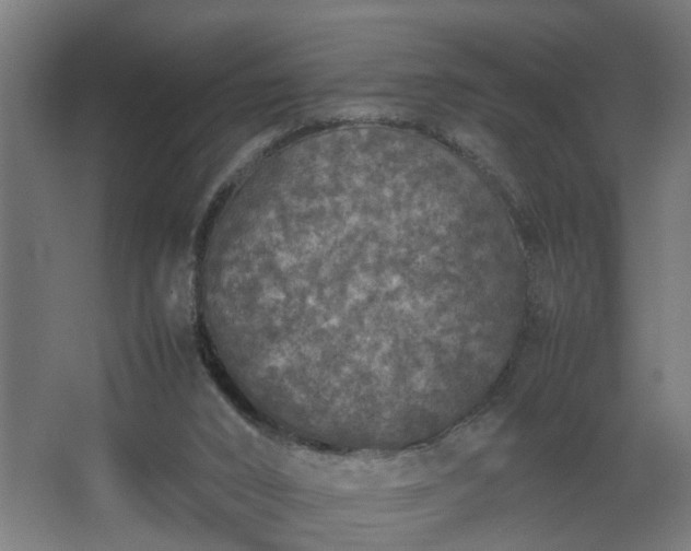 X0000067850016200604201319