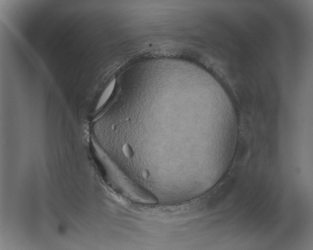 X0000067850017200604201319