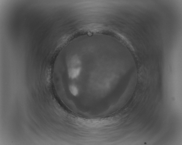 X0000067850018200604201319