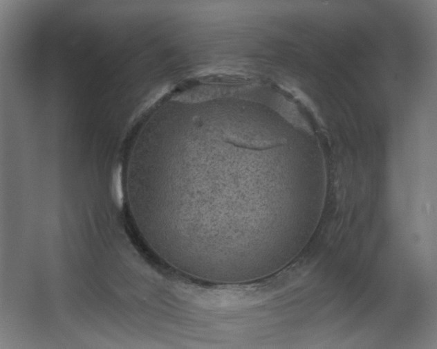 X0000067850020200604201319