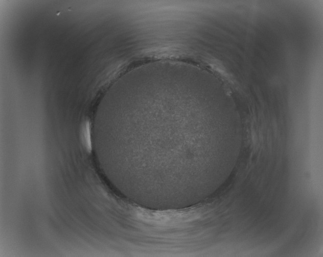 X0000067850022200604201319