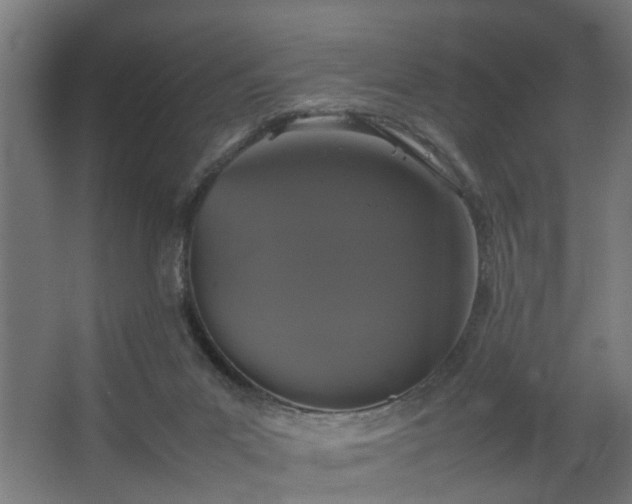 X0000067850023200604201319