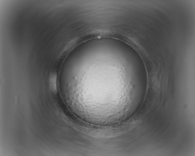 X0000067850024200604201319