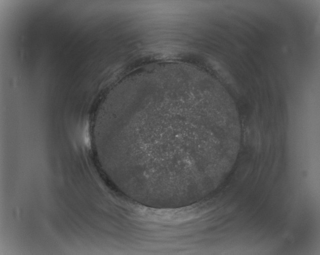 X0000067850026200604201319