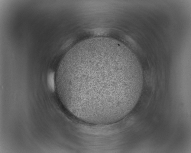 X0000067850028200604201319