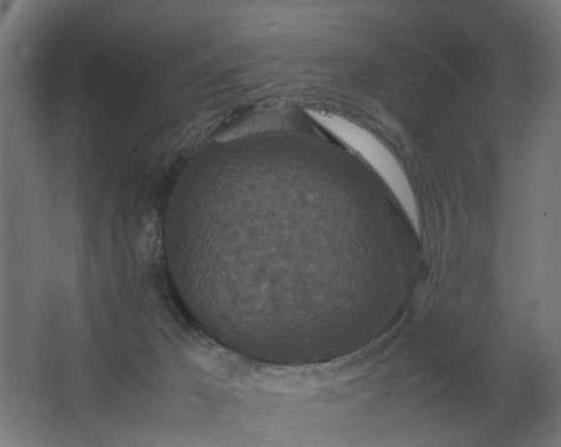 X0000067850029200604201319