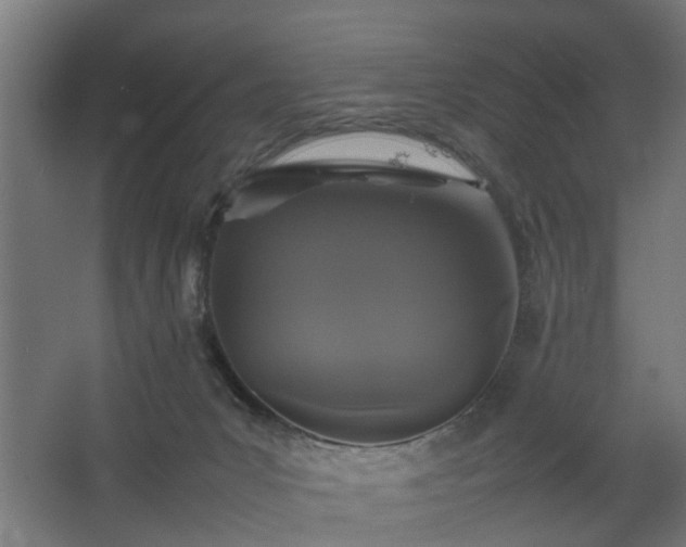 X0000067850031200604201319