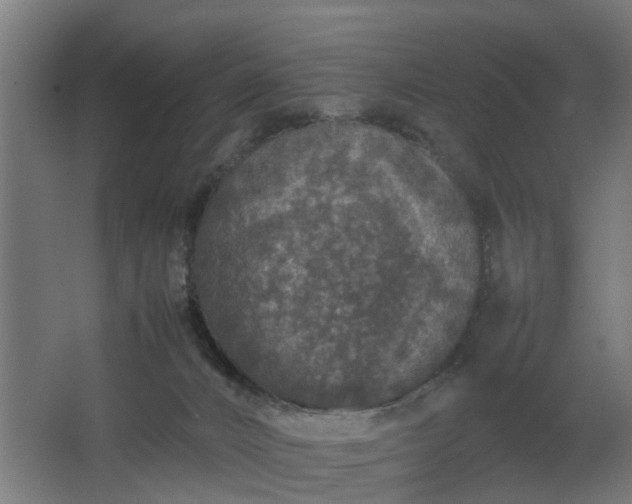 X0000067850032200604201319