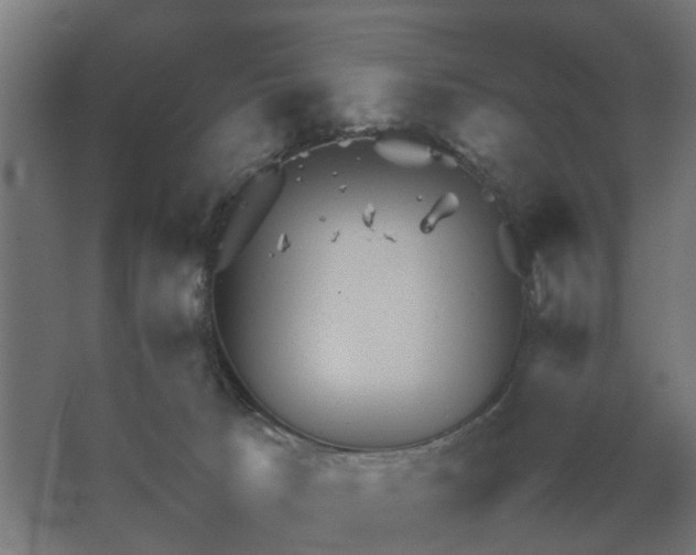 X0000067850033200604201319