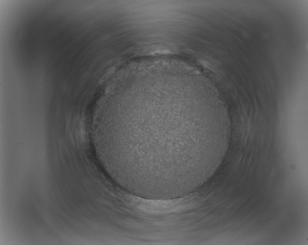 X0000067850034200604201319