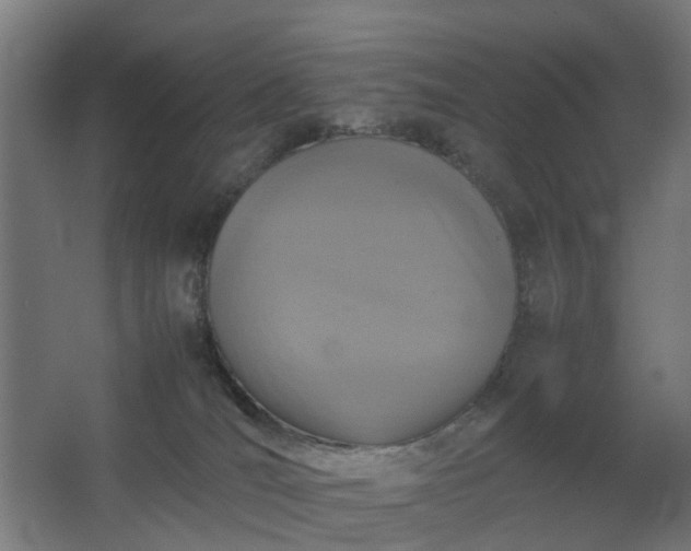 X0000067850036200604201319