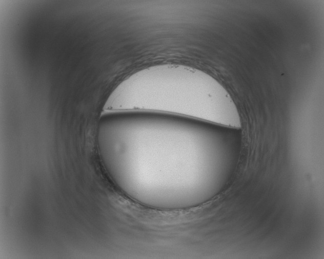 X0000067850037200604201319