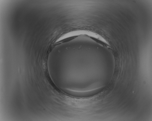 X0000067850039200604201319