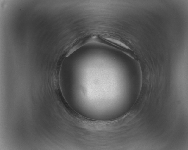 X0000067850040200604201319