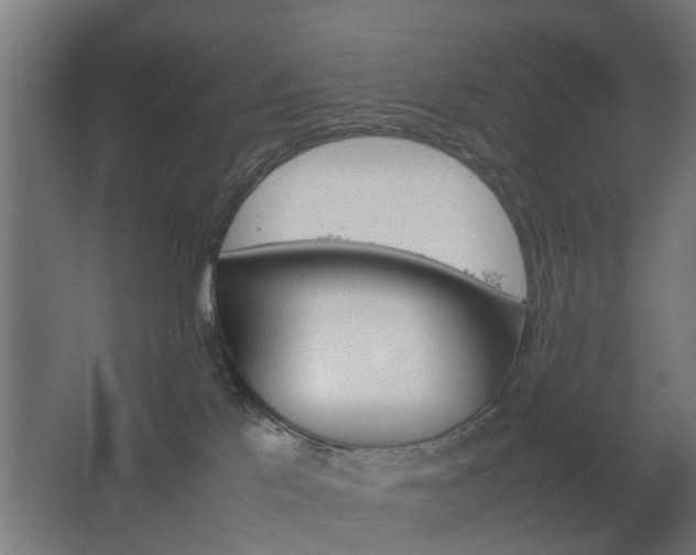 X0000067850041200604201319